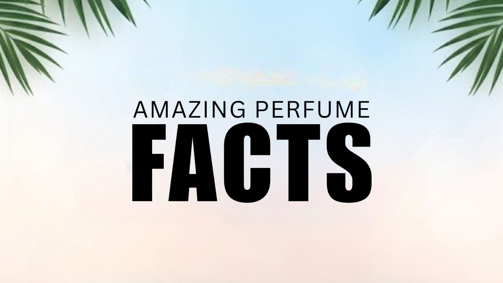 Surprising Facts About Perfumes You Probably Didn't Know