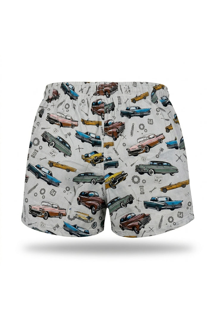 Old school car boxer